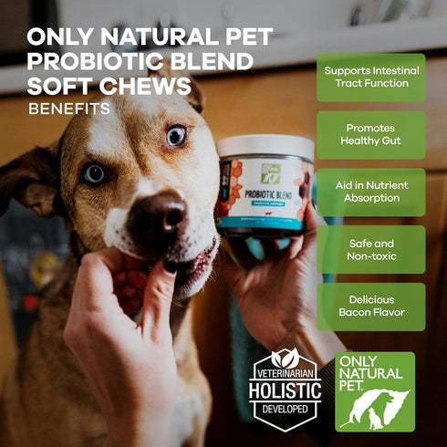 Only Natural Pet Probiotic Dog and Cat Supplement - Digestive & Gut Health Enzyme Formula, Puppy & Canine Digestive Chews, Best for Stomach Relief...