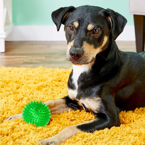 SHARLOVY Squeaky Balls for Dogs Small, Fetch Balls for Dogs Rubber 3 Pack Bright Colors TPR Puppy Toys Dog Toy Balls Dog Squeaky Toys Spike Ball D...
