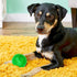 SHARLOVY Squeaky Balls for Dogs Small, Fetch Balls for Dogs Rubber 3 Pack Bright Colors TPR Puppy Toys Dog Toy Balls Dog Squeaky Toys Spike Ball D...