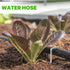 Landscape Staples Galvanized Garden Stakes, Heavy Duty Garden Pins for Fences, Lawns, Weed Barriers and Landscape Fabrics, Netting, Irrigation Hos...