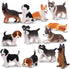 12PCS Dog Figurines Playset, Realistic Detailed Plastic Puppy Figures, Hand Painted Mini Dog Figures Toy Set Cake Toppers Birthday Easter Eggs Gif...