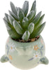 Karma, Shaped Succulent Pot, Artificial Succulents in Ceramic Pot, Faux Mini Succulent Plant, Desk Decor, Office Plants, Succulent Décor Faux Succ...