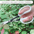 Precision Gardening Scissors Plant Trimming Pruning Shears Garden Pruners for Orchid Bonsai Hydroponic Garden Snip Flower Clipper Modern Garden To...