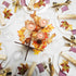 Elegant White "Antique" Plates - 10" (Pack of 20) - Timeless Design - Perfect for Parties & Special Occasions...