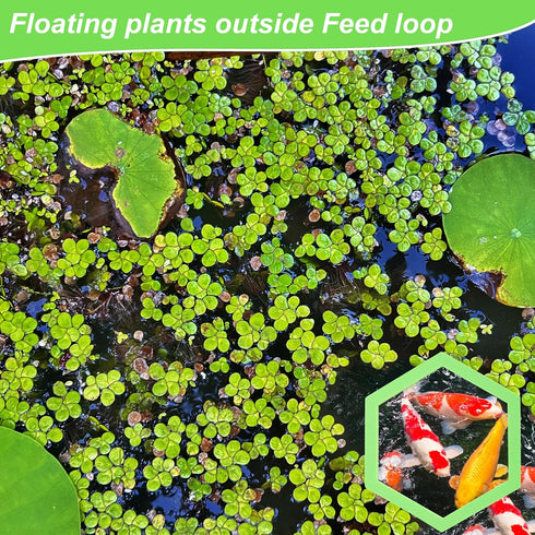 5pcs Aquarium Floating Plant Corral, Foam Fish Feeding Rings Hexagon Fish Tank Food Ring for Keeping Floating Plants in Place (Green)...