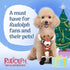 Rudolph The Red-Nosed Reindeer Toys for Dogs - 9" Plush Rudolph Squeaker Dog Toy, Chew Dog Toys - Holiday Toys for Pets, Christmas Dog Toys, Rudol...