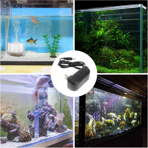 LED Power Adapter AC110-240V DC12V 1A Switching Power Supply Converter for Aquarium Fish Tank Light (US Plug)...