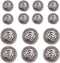 14 Pieces Silver Vintage Antique Metal Blazer Button Set - 3D Lion Head - for Blazer, Suits, Sport Coat,18mm 23mm(Silver)...