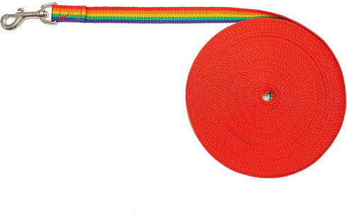 Downtown Pet Supply - Long Dog Leash - Dog Training Leash - Recall & Obedience Dog Training Tools - Nylon - 50 ft - Rainbow Dog Leash...