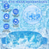 2Pack Cold Cooling Eye Mask, Reusable Gel Eye Mask Hot/Cold Therapy Gel Bead Eye Mask with Plush Backing for Headache/Puffiness/Migraine/Stress Re...