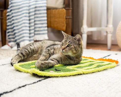 Kitty City Premium Catnip Sisal Scratch Pad, Cactus Design, Natural Cat Training Scratch Play Pad, Large...