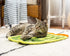 Kitty City Premium Catnip Sisal Scratch Pad, Cactus Design, Natural Cat Training Scratch Play Pad, Large...