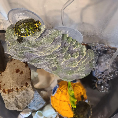 kathson Turtle Basking Platform with Suction Cup Tortoise Climbing Rest Terrace Resin Step Decoration Reptile Habitat Rock Decor for Frogs,Lizards...