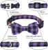 ADOGGYGO Halloween Dog Collar with Bow, Adjustable Plaid Dog Collars with Removable Bowtie Orange Purple Plaid Halloween Collars for Medium Dogs P...