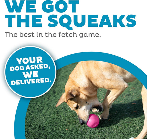 Outward Hound Orbee-Tuff Squeak Ball Pink Dog Fetch Toy...