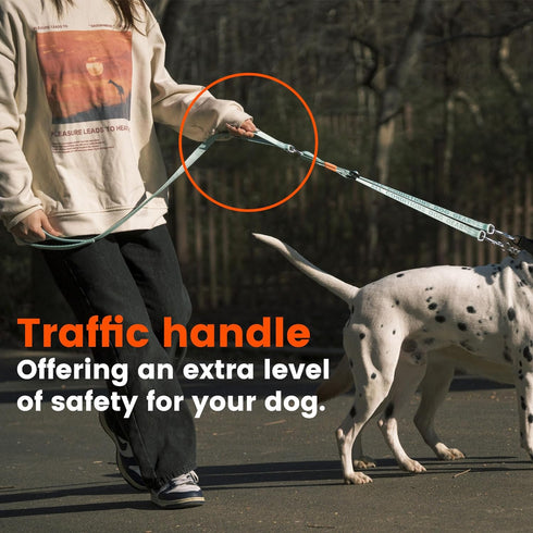 HOWGO Double Dog Leash, No Tangle Dual Dog Leash, Super Lightweight Adjustable Dual Padded Handles, Multiple Leash for 2 Dogs, Double Clip Dog Lea...