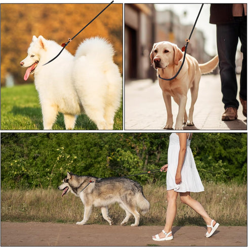 5 Ft Slip Leads No Pull Dog Leash for Dog Training, Puppy Leash for Small Medium Large Dogs, Black No Pull Dog Pet Training Leads, Puppy Training ...