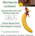 Banana Bungee Red Banana Hook Holder, Made in USA; Multiple Bunches or Single Banana Hanger...