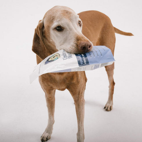 Under the Weather Easy to Digest Bland Diet for Sick Dogs - Always Be Ready - Contains Electrolytes - Gluten Free, All Natural, Freeze Dried 100% ...