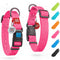 WAUDOG Waterproof Dog Collar - Adjustable Dog Collar for Large Dogs, Small and Medium Dogs - Breakaway Dog Collar Waterproof with Plastic Buckle a...