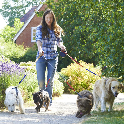 Cobee Dog Collar Clips, 2 Pcs Reflective Nylon Puppy Collar, Backup Collar, Safety Adjustable Pet Dog Collar Harness Connector, Double Ended Backu...