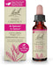 Bach Original Flower Remedies, Sweet Chestnut for Optimism (Non-Alcohol Formula), Natural Homeopathic Flower Essence, Holistic Wellness and Stress...