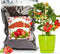 Organic Vegetable Soil Mix 1qt, Indoor Plants Potting Mix for All Potted Vegetable like Tomatoes Lettuce Bell peppers, Grow Healthy houseplants In...