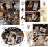 180Pcs Vintage Scrapbook Stickers Set, Junk Journal Sticker Supplies Kit, Antique Retro Natural Collection, Diary Journal Embellishment Supplies W...