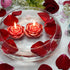 Zest Candle 12-Piece Folding Candles, 3-Inch, Red Rose...