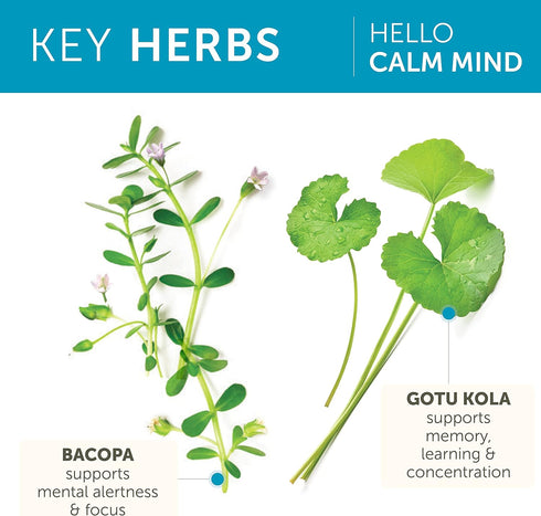 Himalaya Hello Calm Mind Herbal Supplement, with Bacopa, L-Theanine, Gotu Kola, Supports Concentration & Focus, Cognitive Function, Clear Thinking...