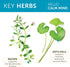 Himalaya Hello Calm Mind Herbal Supplement, with Bacopa, L-Theanine, Gotu Kola, Supports Concentration & Focus, Cognitive Function, Clear Thinking...