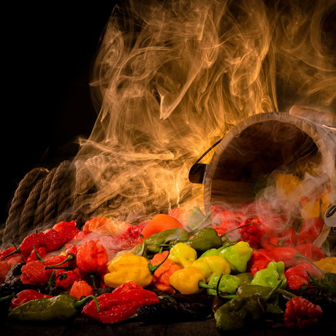 Hellfire Hot Sauce Infierno De Ajo Rojo - Gourmet Red Salsa Hot Sauce With Garlic and Carolina Reaper Peppers, 5 oz....