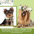 2 Pcs Dog Flower Collar Wedding and Leash Set Pearls for Dogs 120 cm 4 ft Pearls Beaded Dog Leash Dog Collar Bows for Wedding Adjustable for Mediu...