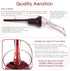 Vintorio Wine Aerator Pourer - Premium Aerating Pourer and Decanter Spout (Black)...