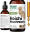 Red Reishi Mushroom Tincture for Dogs - Immune Support Mushroom Supplement - Liquid Mushroom Drops for Pets w/Reishi Extract - Liquid Vitamins and...