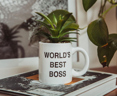 Silver Buffalo The Office World's Best Boss Decorative Artificial Faux Greenery Plant in Ceramic...