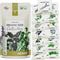 15 Certified Organic Herb Seeds Variety Pack (4X More) 10,000+ Non GMO Seeds for Planting Indoor Herb Garden or Outdoor Herb Garden Seeds for Plan...