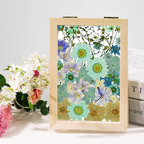 Cayway 8 Pack Dried Flower Paper Craft Set Include 5 x 7 Inch Wooden Paper Making Mold Frame, Dried Flowers, Replace Mesh Cloth...