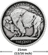 Bezelry 12 Pieces Buffalo Coin Style Metal Shank Buttons. 21mm (13/16 inch) (Antique Silver)...