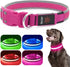LED Dog Collar, USB Rechargeable Light Up Dog Collar Lights, Adjustable Comfortable Soft Mesh Safety Dog Collar for Small, Medium, Large Dogs(Smal...