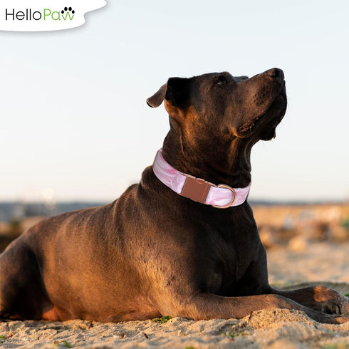 Pink with Rose Gold - Premium Nylon Dog Collar with Metal Buckle - Vibrant Colors and Beautiful Designs - Adjustable Collars for Small Medium Larg...