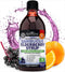 Elderberry Syrup for Kids and Adults - Natural Immune Support with Zinc and Vitamin C Plus 10x Concentrated Sambucus Elderberries - Blueberry Panc...