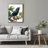 Posterizer 1 pcs-detailed natural history illustration of a raven-Corvus corax 1-Art for Animal Lovers-Gift for Men Women Teens-Chic Home Decor- u...