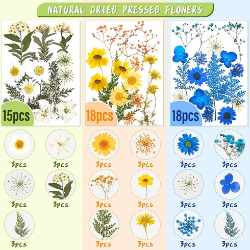 Nuanchu 167 Pcs Real Dried Pressed Flowers Natural Dried Flowers Colorful Daisy Mixed Wildflowers Leave for DIY Candle Resin Nails Jewelry Pendant...