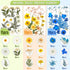 Nuanchu 167 Pcs Real Dried Pressed Flowers Natural Dried Flowers Colorful Daisy Mixed Wildflowers Leave for DIY Candle Resin Nails Jewelry Pendant...