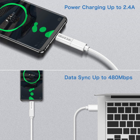 Mini USB to USB C Adapter, (2-Pack) Mini USB Female to USB C Male Convert Charging & Data Sync Compatible with Samsung Galaxy S10 S9 S8 Plus Note ...