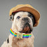 Elegant little tail Dog Collar, LGBT Holiday Pet Collar Dog Durable Rainbow Love Print Dog Collars Plastic Buckle Soft Pet Gift Adjustable Dog Col...