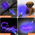EverBrite Red Light Penlight Flashlight with 395nm UV Blacklight/White Light, Multi-Function LED Pocket Pen Light, AAA Batteries Included, for Nig...