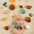 15PCS Hermit Crab Shells | Natural Sea Conch Size 1.6"-3.2" | Growth Turbo for Small to Medium and Large Crabs, Saltwater Hermit Crab Supplies and...
