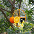 FORUP Oriole Bird Feeder for Outdoors Jelly and Oranges, Orange Fruit Oriole Jelly Bird Feeder, Outdoor Garden Metal Hanging Drinking Grape Jelly ...